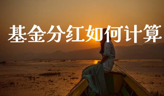 基金分红如何计算_https://wap.jnbaishite.cn_理财投资_第1张