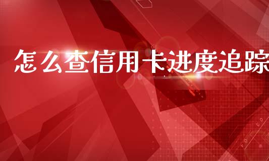怎么查信用卡进度追踪_https://wap.jnbaishite.cn_理财投资_第1张