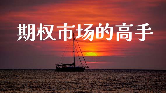 期权市场的高手_https://wap.jnbaishite.cn_期货资讯_第1张