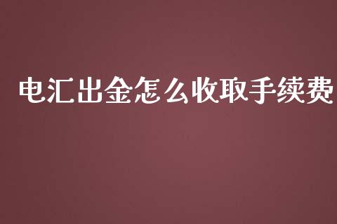 电汇出金怎么收取手续费_https://wap.jnbaishite.cn_金融资讯_第1张