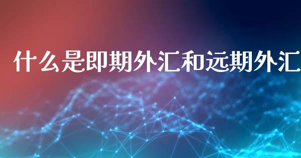 什么是即期外汇和远期外汇_https://wap.jnbaishite.cn_期货资讯_第1张