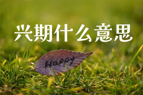 兴期什么意思_https://wap.jnbaishite.cn_理财投资_第1张