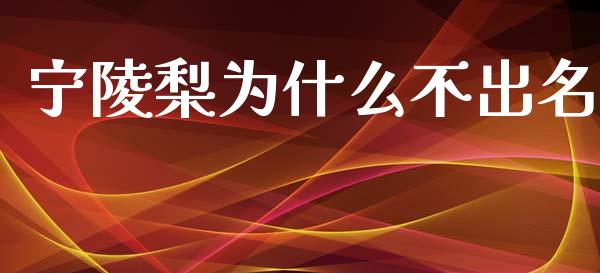 宁陵梨为什么不出名_https://wap.jnbaishite.cn_金融资讯_第1张