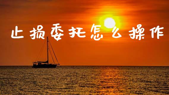 止损委托怎么操作_https://wap.jnbaishite.cn_金融资讯_第1张