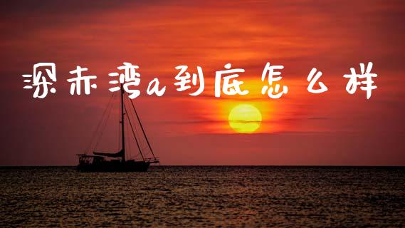 深赤湾a到底怎么样_https://wap.jnbaishite.cn_期货资讯_第1张