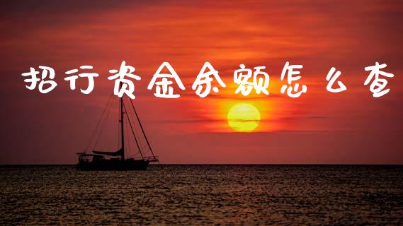 招行资金余额怎么查_https://wap.jnbaishite.cn_全球财富_第1张