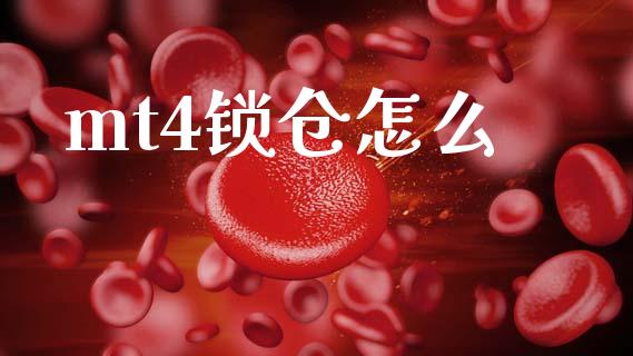 mt4锁仓怎么_https://wap.jnbaishite.cn_全球财富_第1张