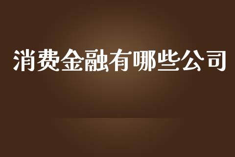 消费金融有哪些公司_https://wap.jnbaishite.cn_全球财富_第1张