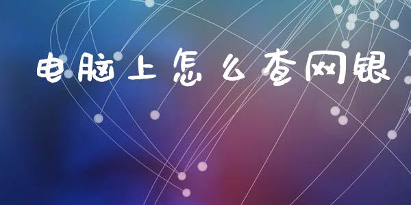 电脑上怎么查网银_https://wap.jnbaishite.cn_理财投资_第1张