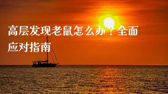 高层发现老鼠怎么办？全面应对指南_https://wap.jnbaishite.cn_理财投资_第1张