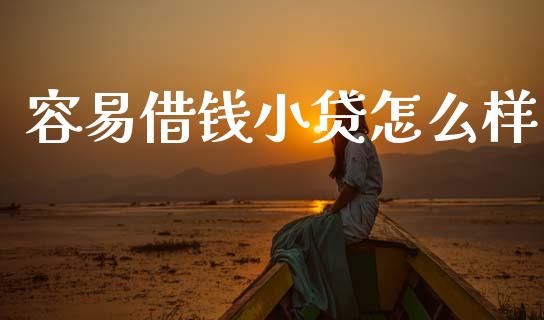 容易借钱小贷怎么样_https://wap.jnbaishite.cn_金融资讯_第1张