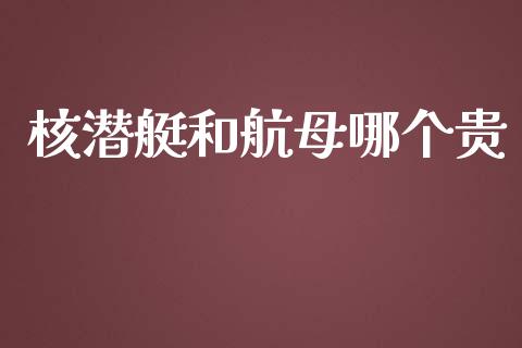 核潜艇和航母哪个贵_https://wap.jnbaishite.cn_理财投资_第1张