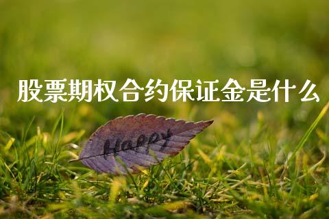 股票期权合约保证金是什么_https://wap.jnbaishite.cn_金融资讯_第1张