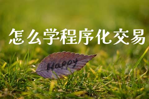 怎么学程序化交易_https://wap.jnbaishite.cn_金融资讯_第1张