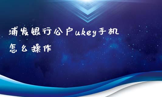 浦发银行公户ukey手机怎么操作_https://wap.jnbaishite.cn_金融资讯_第1张