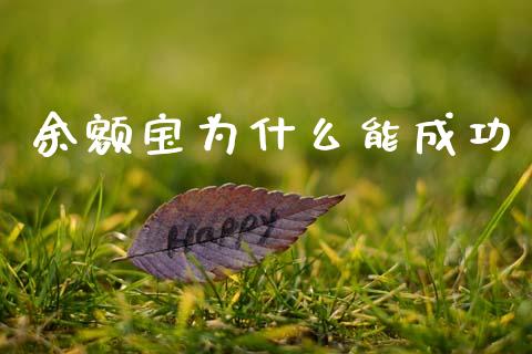 余额宝为什么能成功_https://wap.jnbaishite.cn_金融资讯_第1张