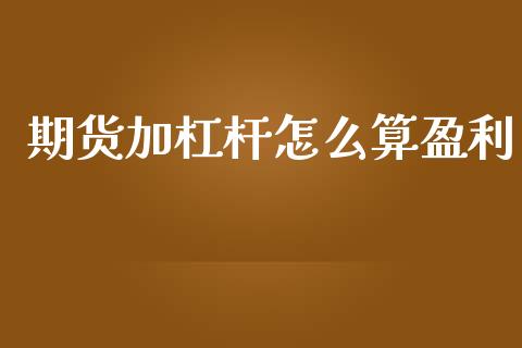期货加杠杆怎么算盈利_https://wap.jnbaishite.cn_全球财富_第1张