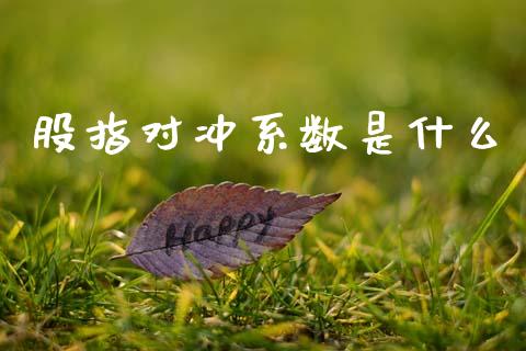 股指对冲系数是什么_https://wap.jnbaishite.cn_金融资讯_第1张