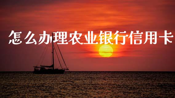 怎么办理农业银行信用卡_https://wap.jnbaishite.cn_全球财富_第1张