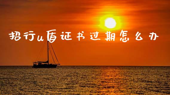 招行u盾证书过期怎么办_https://wap.jnbaishite.cn_金融资讯_第1张