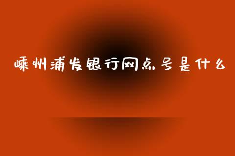 嵊州浦发银行网点号是什么_https://wap.jnbaishite.cn_理财投资_第1张
