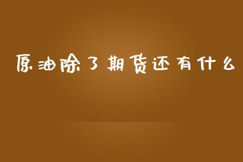 原油除了期货还有什么_https://wap.jnbaishite.cn_期货资讯_第1张