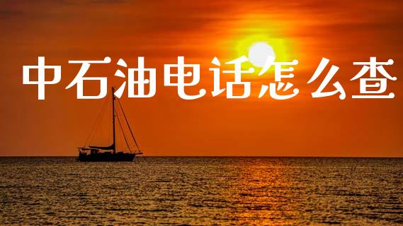 中石油电话怎么查_https://wap.jnbaishite.cn_期货资讯_第1张