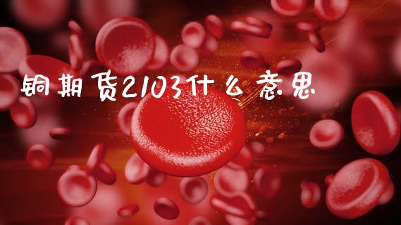 铜期货2103什么意思_https://wap.jnbaishite.cn_期货资讯_第1张