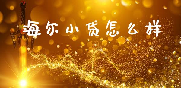 海尔小贷怎么样_https://wap.jnbaishite.cn_期货资讯_第1张