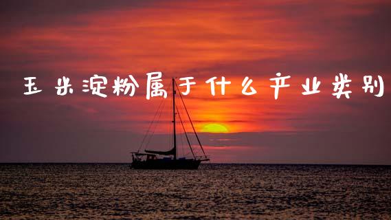 玉米淀粉属于什么产业类别_https://wap.jnbaishite.cn_理财投资_第1张