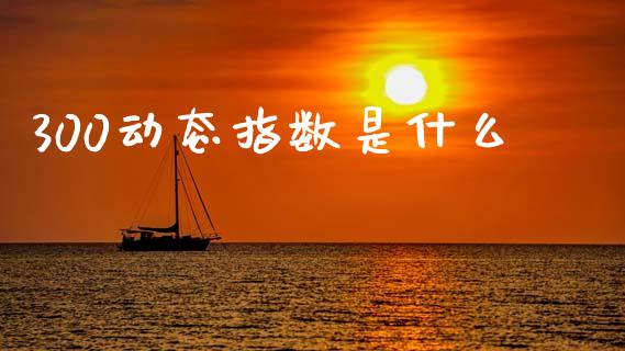 300动态指数是什么_https://wap.jnbaishite.cn_期货资讯_第1张