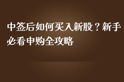 中签后如何买入新股？新手必看申购全攻略_https://wap.jnbaishite.cn_理财投资_第1张