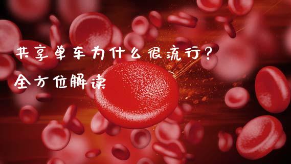 共享单车为什么很流行？ 全方位解读_https://wap.jnbaishite.cn_理财投资_第1张