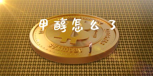 甲醇怎么了_https://wap.jnbaishite.cn_金融资讯_第1张