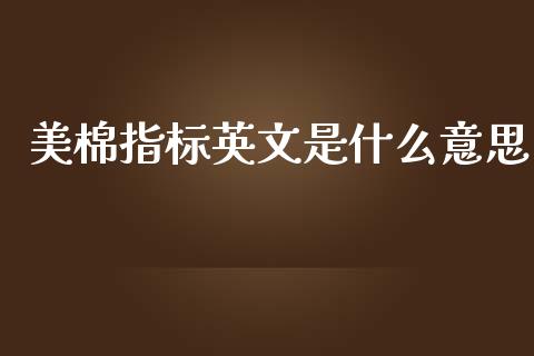 美棉指标英文是什么意思_https://wap.jnbaishite.cn_期货资讯_第1张
