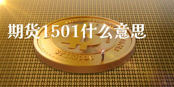 期货1501什么意思_https://wap.jnbaishite.cn_金融资讯_第1张