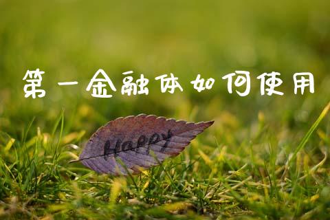 第一金融体如何使用_https://wap.jnbaishite.cn_金融资讯_第1张