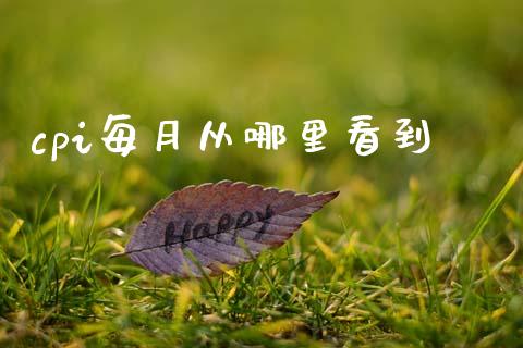 cpi每月从哪里看到_https://wap.jnbaishite.cn_理财投资_第1张