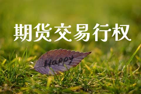 期货交易行权_https://wap.jnbaishite.cn_期货资讯_第1张