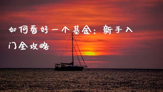 如何看好一个基金：新手入门全攻略_https://wap.jnbaishite.cn_期货资讯_第1张