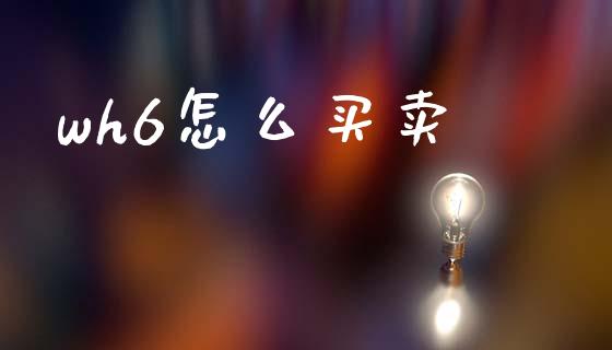 wh6怎么买卖_https://wap.jnbaishite.cn_理财投资_第1张
