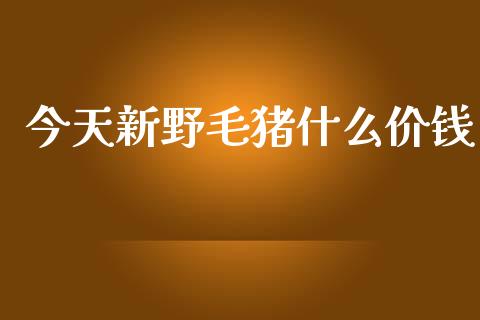 今天新野毛猪什么价钱_https://wap.jnbaishite.cn_金融资讯_第1张