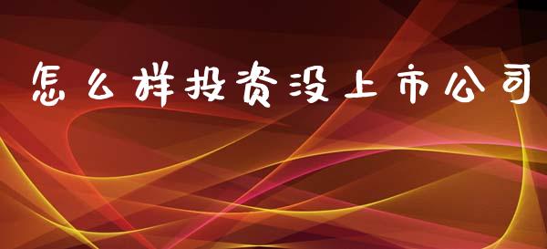 怎么样投资没上市公司_https://wap.jnbaishite.cn_全球财富_第1张