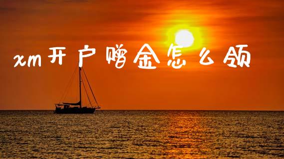 xm开户赠金怎么领_https://wap.jnbaishite.cn_金融资讯_第1张
