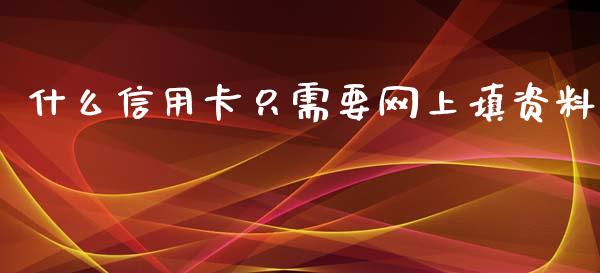 什么信用卡只需要网上填资料_https://wap.jnbaishite.cn_全球财富_第1张