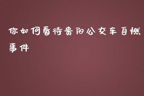 你如何看待贵阳公交车自燃事件_https://wap.jnbaishite.cn_金融资讯_第1张