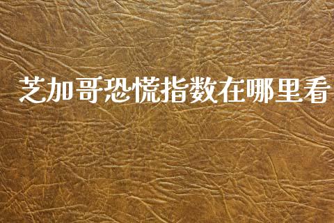 芝加哥恐慌指数在哪里看_https://wap.jnbaishite.cn_全球财富_第1张