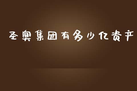 圣奥集团有多少亿资产_https://wap.jnbaishite.cn_理财投资_第1张