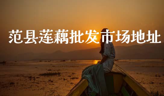 范县莲藕批发市场地址_https://wap.jnbaishite.cn_金融资讯_第1张