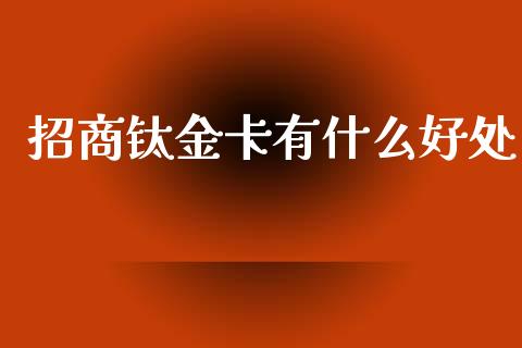 招商钛金卡有什么好处_https://wap.jnbaishite.cn_期货资讯_第1张